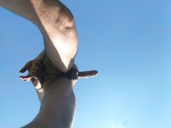 IMG_20240807_162437 (1).jpg