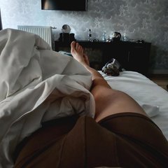 10242.jpg