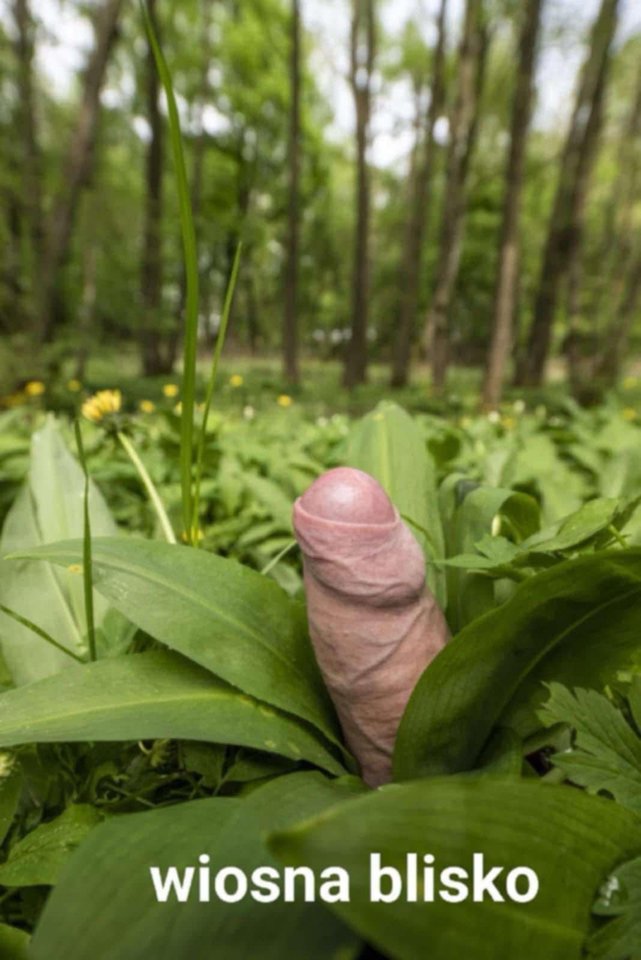 152aac3f-1ae0-406a-8226-80330ee4a9f5.jpeg - Max3940