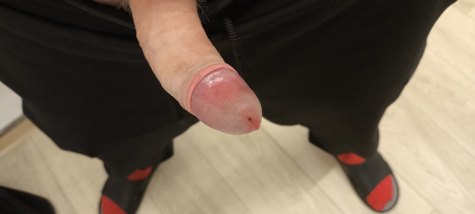 1000043978.jpg - stralis450turbo