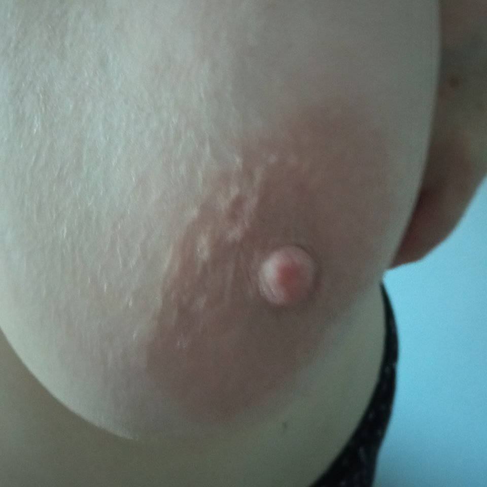 IMG_20260317_064452.jpg - olla55