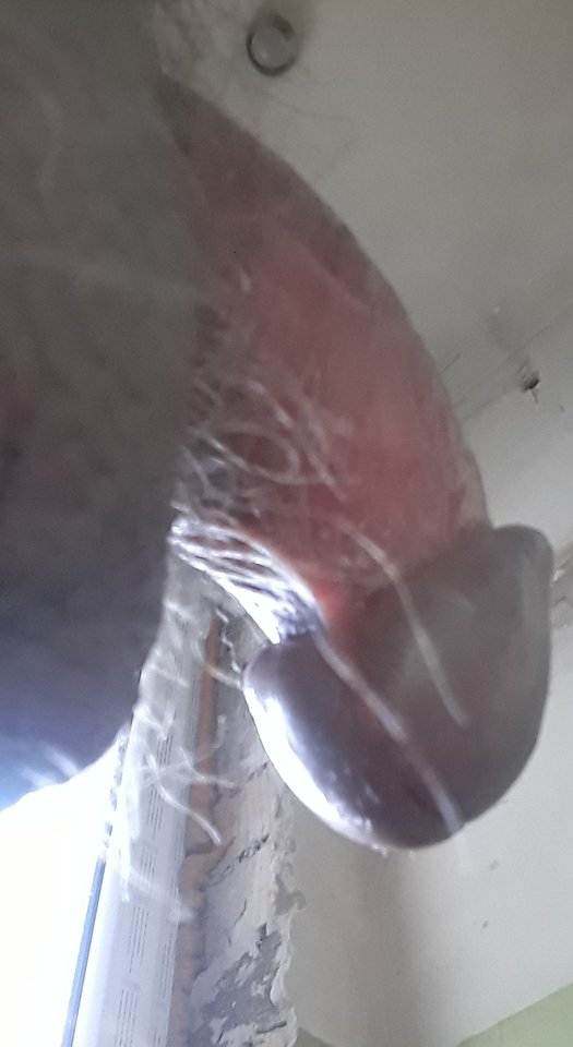 20260317_063547.jpg - 11igor11