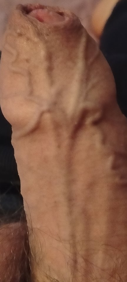 1000003980.jpg - XMiko77