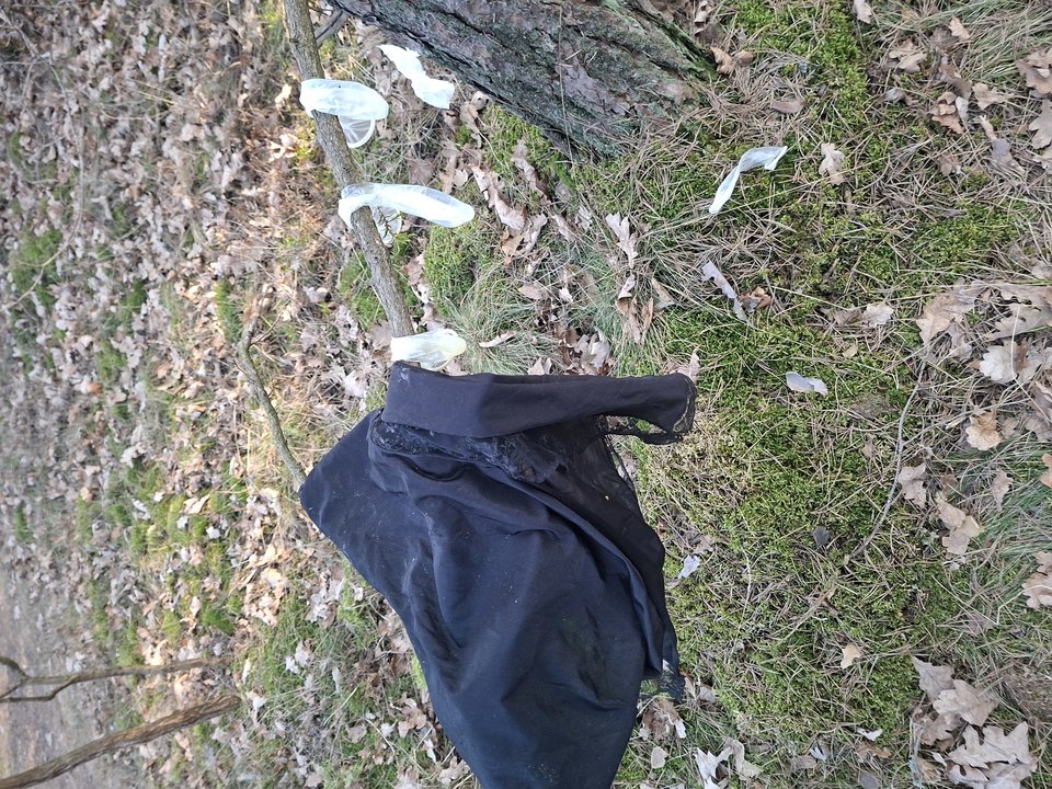 67085.jpg - LubieBycNia