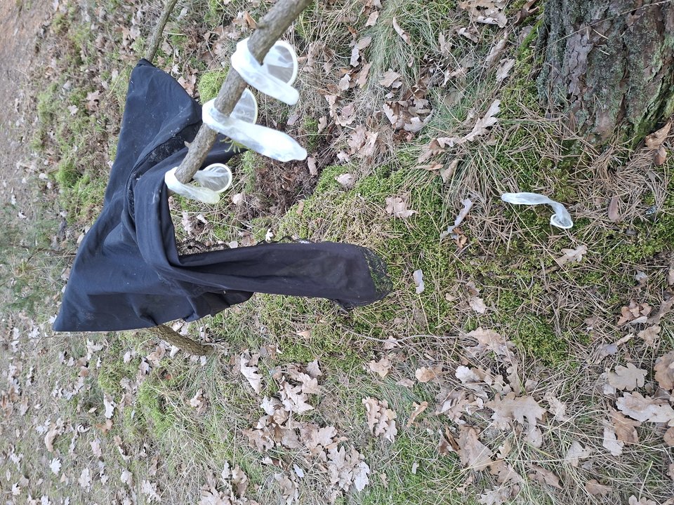 67088.jpg - LubieBycNia