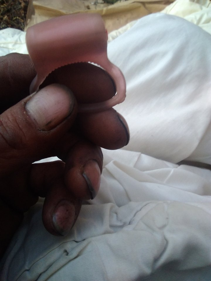 17739835966343196888.jpg - Lukasz43swi