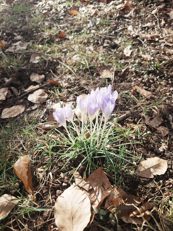 20260311_101616.JPG - 78Emmanuelle78